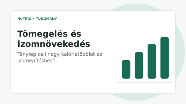 Tömegelés és izomnövekedés – tényleg kell nagy kalóriatöbblet az izomépítéshez?