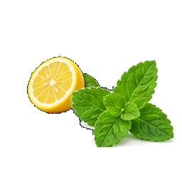 citrom-menta íz ikon
