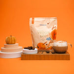 Nutriversum - Vegan Pro ProEarth® vegán fehérjepor - Pumpkin spice – 500 g